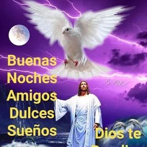 Meet your Posher, Manuel